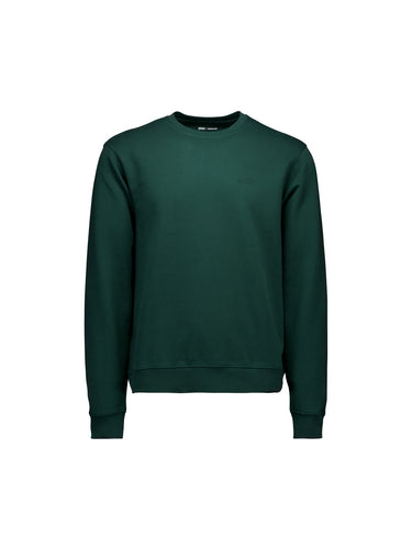 Kolor: Pargasite Green