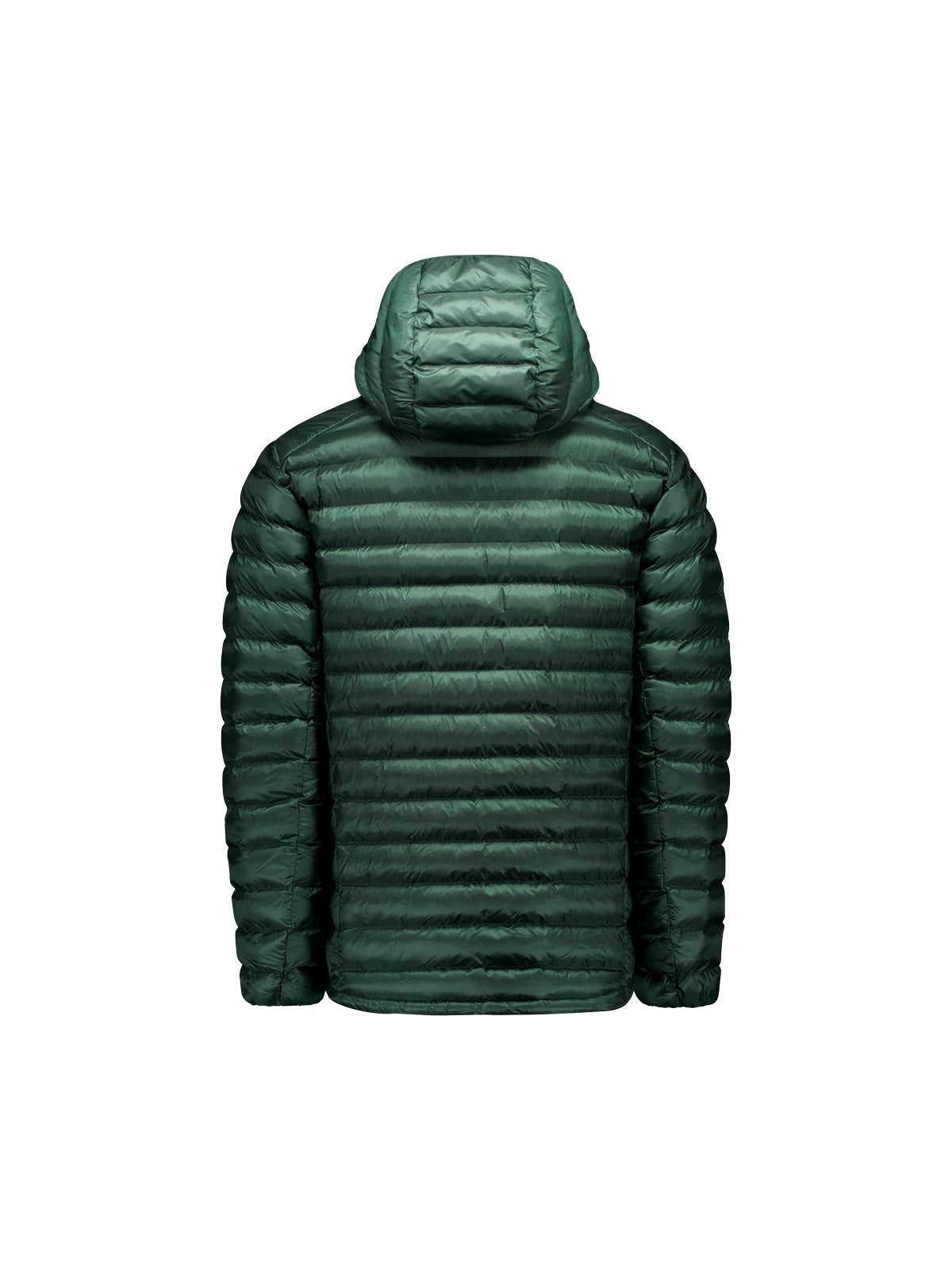 Kurtka męska POC M's Coalesce Jacket - Pargasite Green